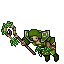 Herbalist Male