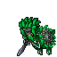 Lion of War Male