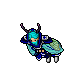 Moth Cape Male