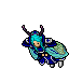 Moth Cape Female