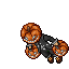 Royal Pumpkin Male