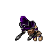Arena Champion Female